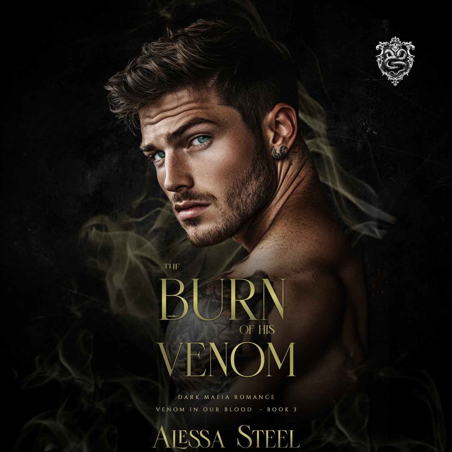 The Burn of His Venom: Dark Mafia Romance