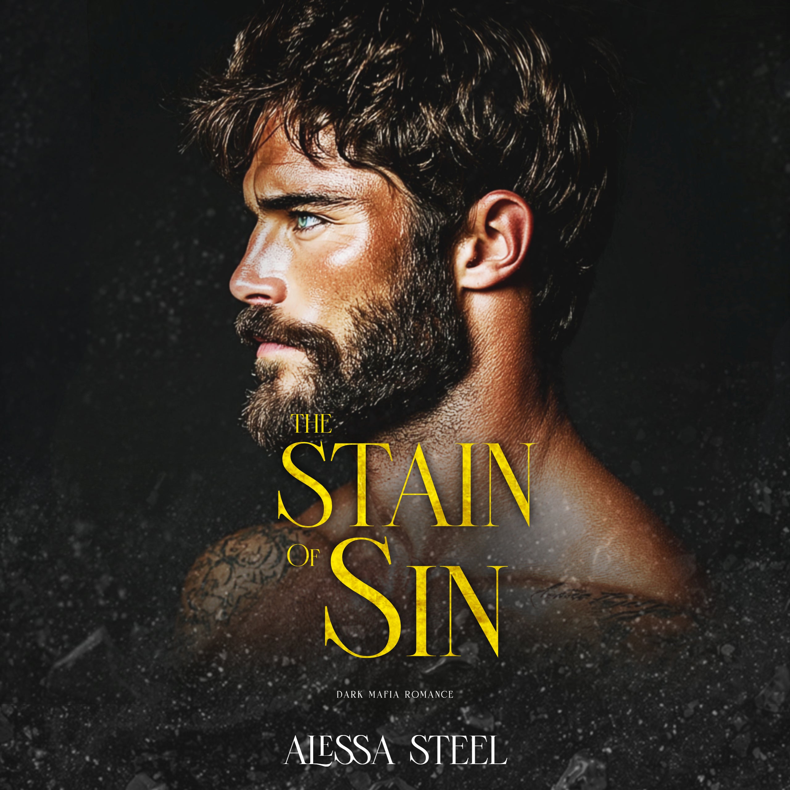 The Stain of Sin audiobook cover by Alessa Steel