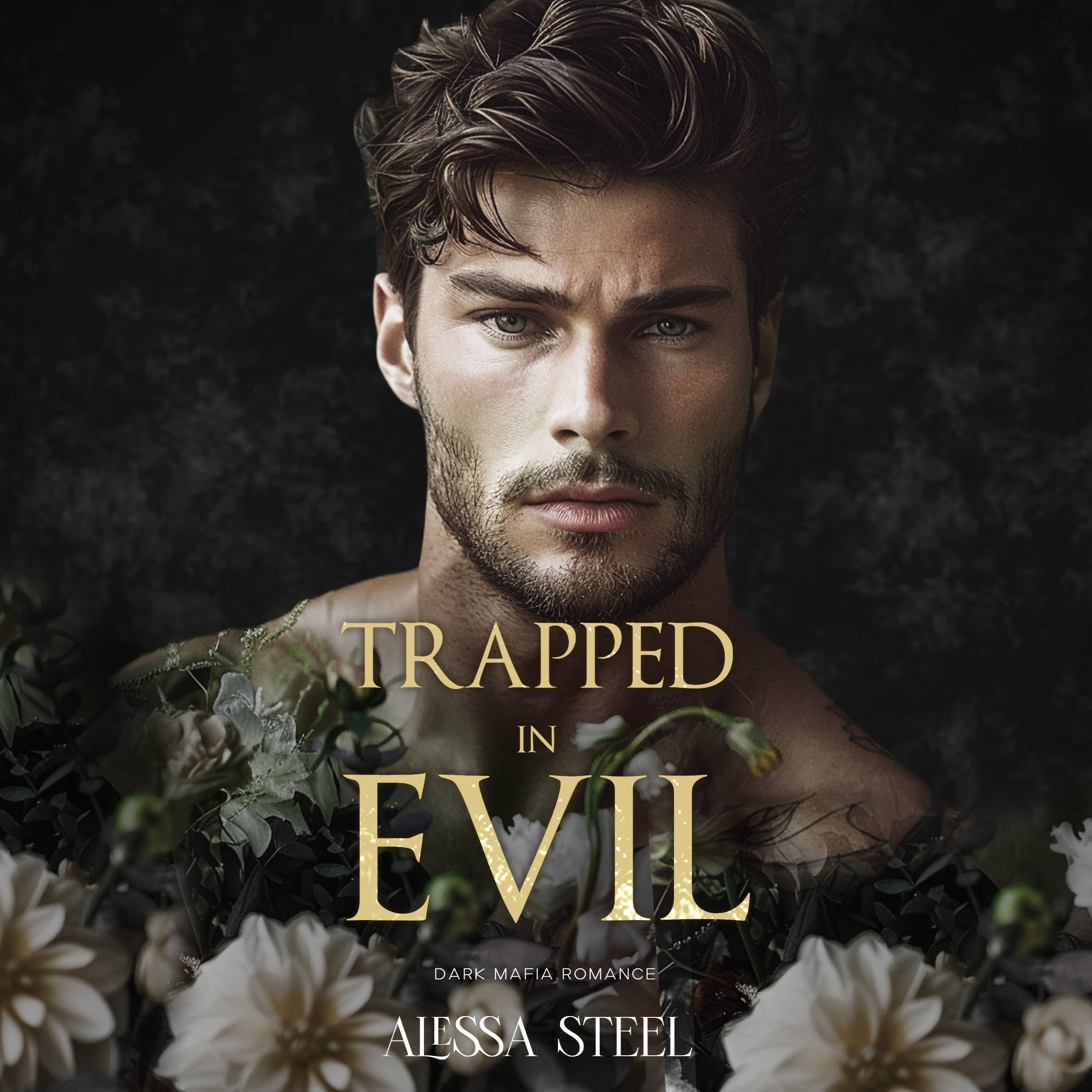 Trapped in Evil audiobook cover by Alessa Steel